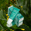 Packaging & bottle of Salicylic Acid and Sea Kelp serum